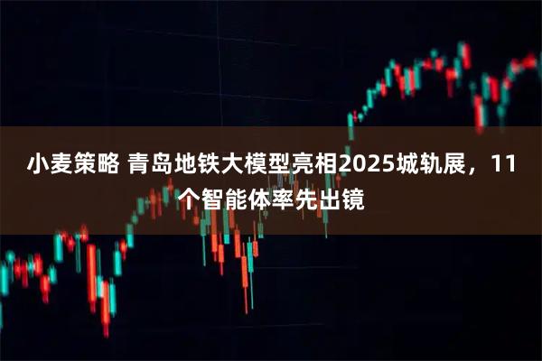 小麦策略 青岛地铁大模型亮相2025城轨展，11个智能体率先出镜