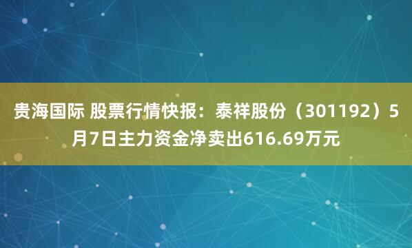 贵海国际 股票行情快报：泰祥股份（301192）5月7日主力资金净卖出616.69万元